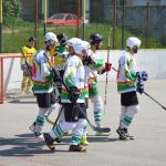 Hokejbal: Tábor první finále nezvládl. Raduje se Blatná