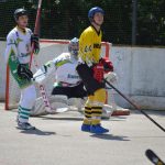 Hokejbal: Tábor první finále nezvládl. Raduje se Blatná