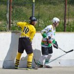 Hokejbal: Tábor první finále nezvládl. Raduje se Blatná