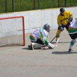 Hokejbal: Tábor první finále nezvládl. Raduje se Blatná