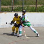 Hokejbal: Tábor první finále nezvládl. Raduje se Blatná