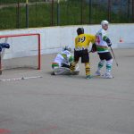 Hokejbal: Tábor první finále nezvládl. Raduje se Blatná