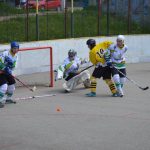 Hokejbal: Tábor první finále nezvládl. Raduje se Blatná