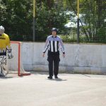Hokejbal: Tábor první finále nezvládl. Raduje se Blatná