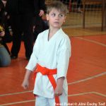 Šampionát v Milevsku nadchl. Domácí sbírali vavříny