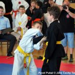 Šampionát v Milevsku nadchl. Domácí sbírali vavříny