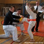 Šampionát v Milevsku nadchl. Domácí sbírali vavříny