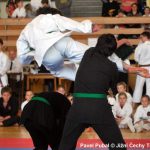 Šampionát v Milevsku nadchl. Domácí sbírali vavříny