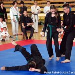 Šampionát v Milevsku nadchl. Domácí sbírali vavříny