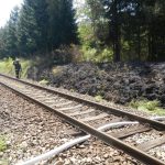 Hořící tráva u tratě ohrozila i les. Požár se rozšířil