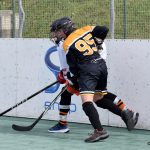 Písek - Suchdol nad Lužnicí 