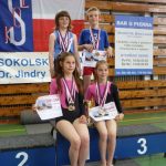 Jihočeští sokolové uspěli v celorepublikovém přeboru