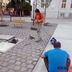 Architekti náměstí TGM přivezli houpací sítě a ladili detaily