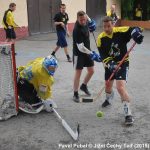Hokejbal: Letošní Šibeňák cup ovládl Zbelítov