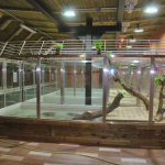 Krokodýly v protivínské ZOO potěší nová terária. Přibydou také ohrožené želvy a varani