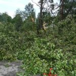 Vichřice na Strakonicku. Škody půjdou do milionů