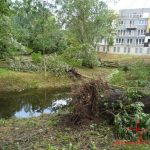 Vichřice na Strakonicku. Škody půjdou do milionů