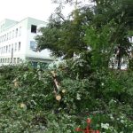 Vichřice na Strakonicku. Škody půjdou do milionů