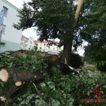 Vichřice na Strakonicku. Škody půjdou do milionů