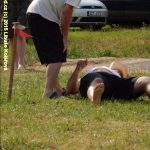 Neckyáda v Srlíně měla netradiční místo i disciplíny
