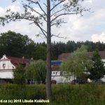 Neckyáda v Srlíně měla netradiční místo i disciplíny