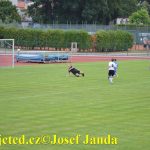 Pohár soběslavského starosty odvezly Štěchovice