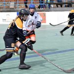 Písek - Suchdol nad Lužnicí 