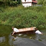 Neckyáda v Srlíně měla netradiční místo i disciplíny