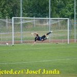Chýnovský turnaj vyhrála překvapivě Mladá Vožice