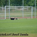 Chýnovský turnaj vyhrála překvapivě Mladá Vožice