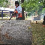 Dřevořezbáři se pustili do díla