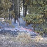 Zhruba 60 hektarů pole u Bavorova včera shořelo