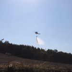Zhruba 60 hektarů pole u Bavorova včera shořelo