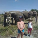 Dělali jsme opět radost. Rozdali jsme vstupenky do cirkusu Humberto