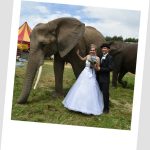 Dělali jsme opět radost. Rozdali jsme vstupenky do cirkusu Humberto