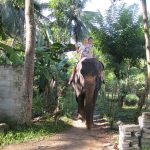 Dělali jsme opět radost. Rozdali jsme vstupenky do cirkusu Humberto