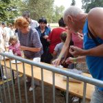 Prvenství v soutěži o nejlepší koláč zopakovala vítězka z loňska