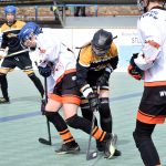 Písek - Suchdol nad Lužnicí 