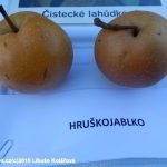 Chyšecká škola uspořádala zahradní slavnost