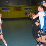 Premiérové vítězství píseckých házenkářek