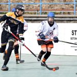 Písek - Suchdol nad Lužnicí 