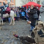 Na svatého Martina čekaly v Písku stovky lidí. I v dešti