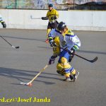 Hokejbal: Tábor vrátil Vikingům jedinou letošní porážku i s úroky