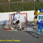 Hokejbal: Tábor vrátil Vikingům jedinou letošní porážku i s úroky