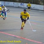 Hokejbal: Tábor vrátil Vikingům jedinou letošní porážku i s úroky