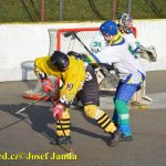 Hokejbal: Tábor vrátil Vikingům jedinou letošní porážku i s úroky