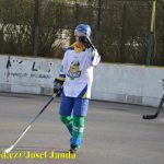 Hokejbal: Tábor vrátil Vikingům jedinou letošní porážku i s úroky