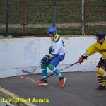 Hokejbal: Tábor vrátil Vikingům jedinou letošní porážku i s úroky