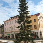 Kuriózní výměna stromu ve Strakonicích, příkaz vydal starosta
