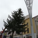 Kuriózní výměna stromu ve Strakonicích, příkaz vydal starosta